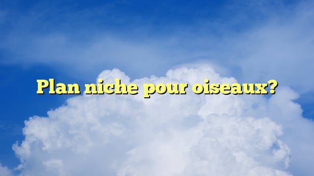 Plan niche pour oiseaux?