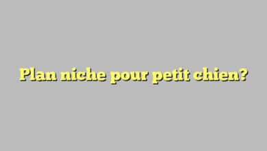 Plan niche pour petit chien?