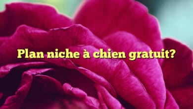 Plan niche à chien gratuit?