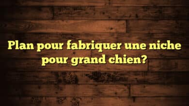 Plan pour fabriquer une niche pour grand chien?