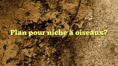 Plan pour niche à oiseaux?