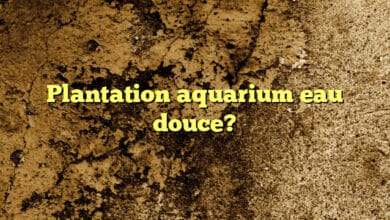 Plantation aquarium eau douce?