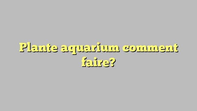 Plante aquarium comment faire?