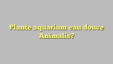 Plante aquarium eau douce Animalis?