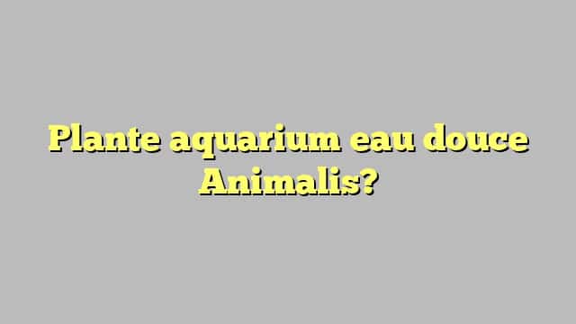 Plante aquarium eau douce Animalis?
