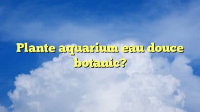 Plante aquarium eau douce botanic?