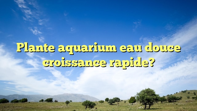 Plante aquarium eau douce croissance rapide?