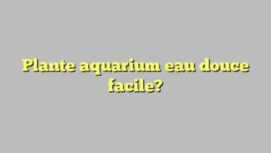 Plante aquarium eau douce facile?
