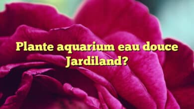 Plante aquarium eau douce Jardiland?
