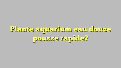 Plante aquarium eau douce pousse rapide?