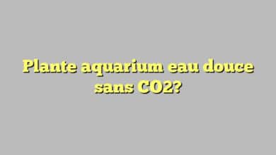 Plante aquarium eau douce sans CO2?