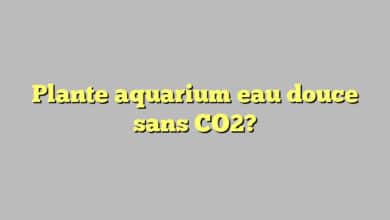 Plante aquarium eau douce sans CO2?