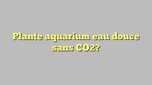 Plante aquarium eau douce sans CO2?