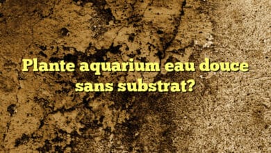 Plante aquarium eau douce sans substrat?