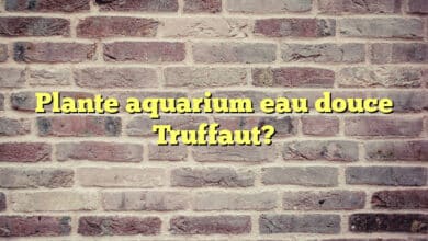 Plante aquarium eau douce Truffaut?