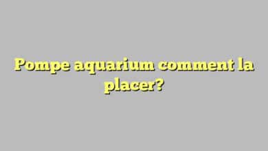 Pompe aquarium comment la placer?