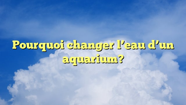 Pourquoi changer l’eau d’un aquarium?