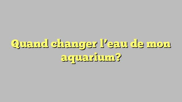 Quand changer l’eau de mon aquarium?