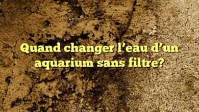 Quand changer l’eau d’un aquarium sans filtre?