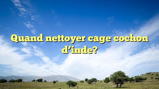 Quand nettoyer cage cochon d’inde?