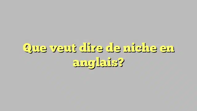 Que veut dire de niche en anglais?