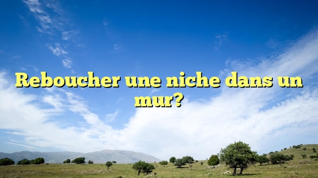 Reboucher une niche dans un mur?