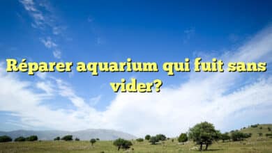 Réparer aquarium qui fuit sans vider?