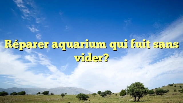 Réparer aquarium qui fuit sans vider?
