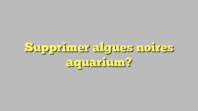 Supprimer algues noires aquarium?