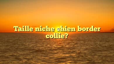 Taille niche chien border collie?