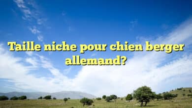 Taille niche pour chien berger allemand?