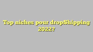 Top niches pour dropShipping 2022?