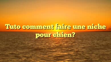 Tuto comment faire une niche pour chien?