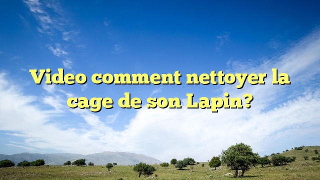 Video comment nettoyer la cage de son Lapin?