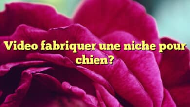 Video fabriquer une niche pour chien?