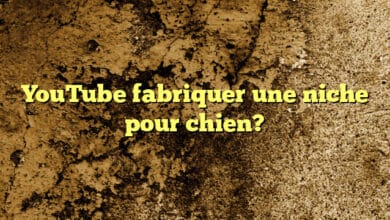 YouTube fabriquer une niche pour chien?